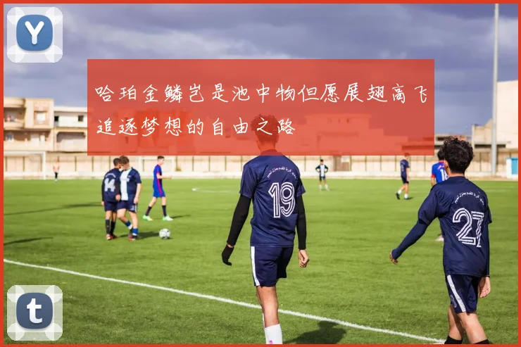 哈珀金鳞岂是池中物但愿展翅高飞追逐梦想的自由之路