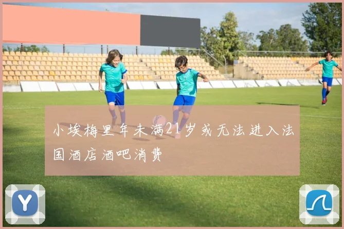 小埃梅里年未满21岁或无法进入法国酒店酒吧消费